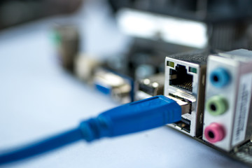 Fototapeta na wymiar network cables connected to the switch
