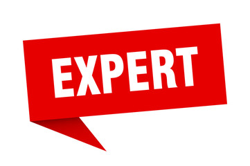 expert