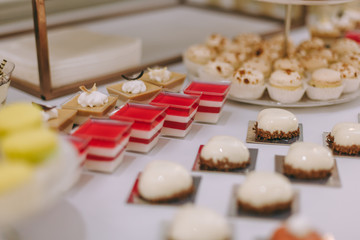 Beautifully decorated catering banquet table with burgers, profiteroles, salads and cold snacks. Variety of tasty delicious snacks on the table