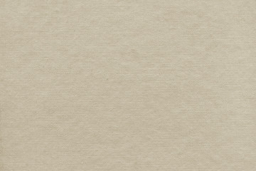 Vintage and old looking paper background. Retro cardboard texture. Grunge paper for drawing. Ancient book page.