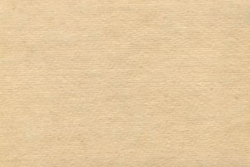 Vintage and old looking paper background. Retro cardboard texture. Grunge paper for drawing. Ancient book page.