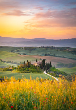 Tuscany countryside. near Pienza, during springtime. Pienza, Tuscany, Italy