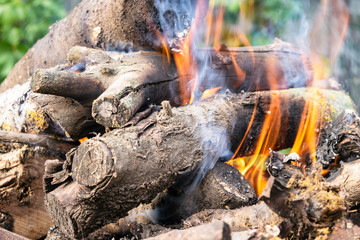 firewood burning on a brazier brazier, fire, coals, background