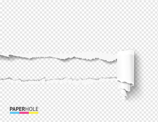 Realistic vector teared off paper hole with curly cardboard scroll and rip edges on transparent background. Empty card banner for advertisement or sale promo.