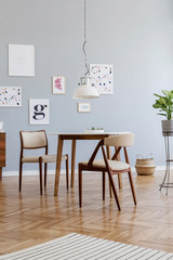 Design scandinavian home interior of open space with stylish chairs, family table wooden commode, plants, accessories and mock up posters gallery wall. Gray background walls. Retro cozy home decor.