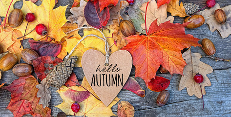hello autumn. Autumn Background with heart greeting card and colourful leaves over wooden board....