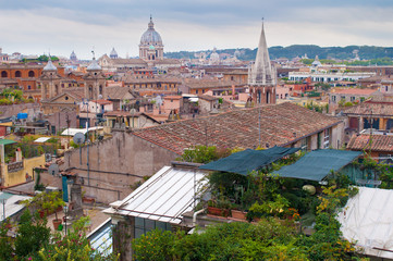 Obraz premium Terrace with a garden and flowerpots among roofs