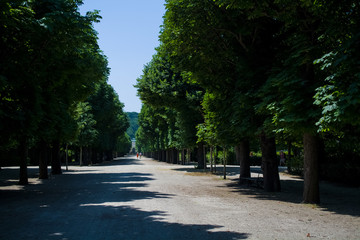 Beautiful and wide footpaths among greens and a decor in the park in the summer. Garden. Wood.