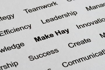 Business Management Buzzwords on Printed Paper