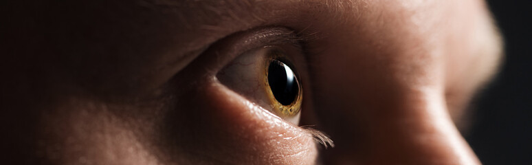 close up view of human eye looking away in dark, panoramic shot