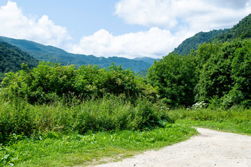 mountain landscape - blue sky, white clouds, forest, green vegetation, a road in the foreground
