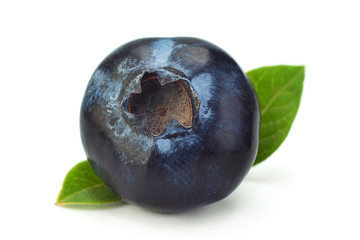 Blueberry with leaf closeup