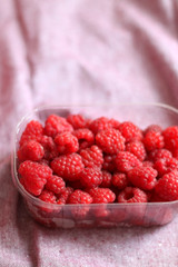 Fresh raspberries in a container. Selective focus, pink background.