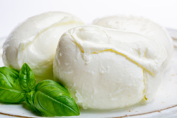 Italian soft cheese mozzarella, white cheese made from cow or buffalo milk with fresh green basil herb