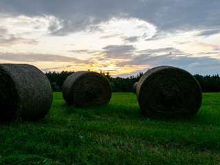 field view with hay bales, evening light, Latvia