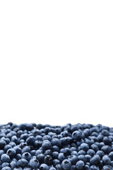 Fresh blueberry background. Texture blueberry berries close up.