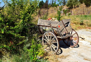 Fototapeta na wymiar wooden cart in the garden