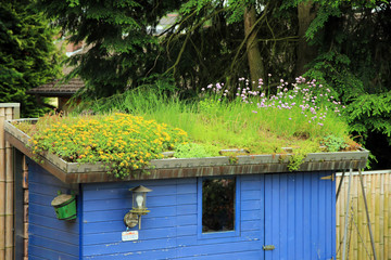 Gartengestaltung u. Ideen