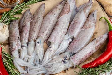 Fresh Raw Squids surrounded by spices and ingredient on a wooden table