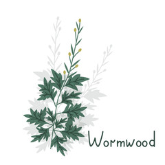 Artemisia isolated plant
