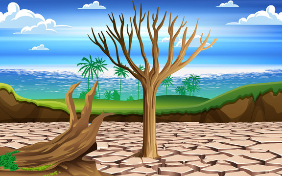 landscape of dry tree in the dry river