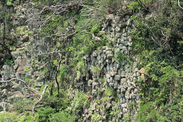 南伊豆　あいあい岬の柱状節理
