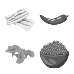 Vector illustration of spices and aroma symbol. Set of spices and product stock symbol for web.