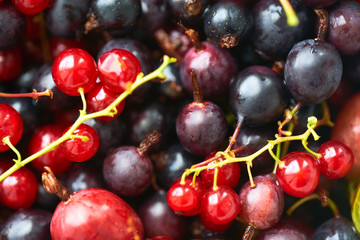 many different bright berries. summer harvest of fresh berries. a set of berries to make a compote.