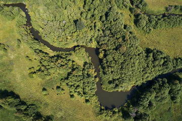 Forest with a winding river at sunset. Aerial photography with a drone.
