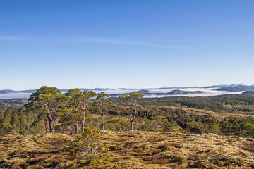 Fjelllandschaft im Trondelag