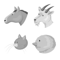 Isolated object of countryside and homestead logo. Collection of countryside and breeding stock vector illustration.