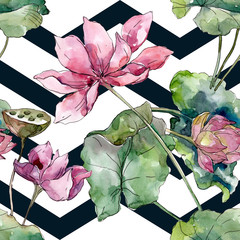 Lotus floral botanical flowers. Watercolor background illustration set. Seamless background pattern.