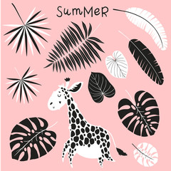 Tropical palms leaves set. Botanical summer leaf collection. Stylish, trendy design. Vector illustration