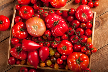 Tomatoes on rustic wood background top view
