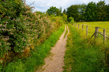 Fototapeta na wymiar Footpath in Englands Countryside