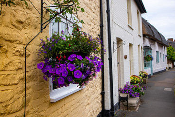 Fototapeta na wymiar Flowers in front of house, England