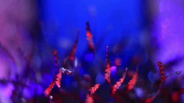 Extreme Close Up Of Metal Shavings On Blue Background.