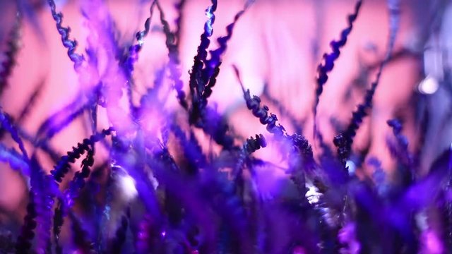 Extreme Close Up Of Purple Metal Shavings On Pink Background.