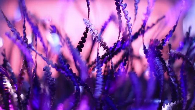 Extreme Close Up Of Blue Metal Shavings On Pink Background.