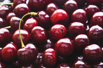 fresh cherry berry with water drops background closeup.