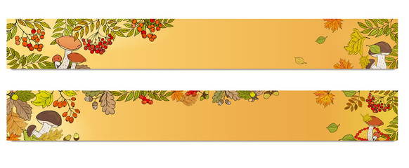 Fototapeta na wymiar Horizontal banners with red rowan berries, mushrooms and leaves. Autumn theme