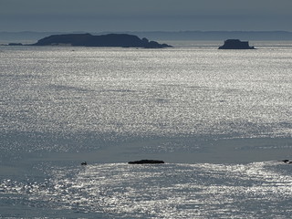 Fototapeta premium Ein Hauch von Freiheit am Atlantischen Ozean