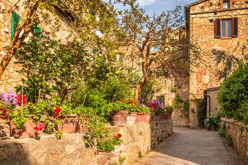 Old houses decorated with flowers in Montepulciano, a town in the province of Siena, in the Val d'Orcia in Tuscany, Italy, Europe.