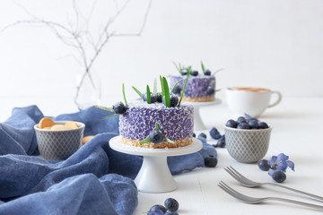 Two round no bake blueberry mini cheesecakes enveloped in coconut and embellished with real blueberries and rosemary leaves. White wooden table with coffe and milk in background.