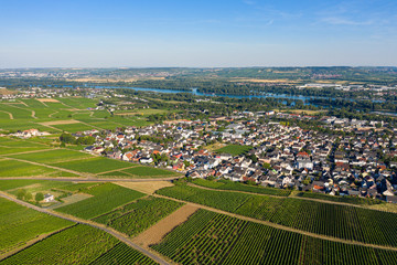 Fototapeta na wymiar Blick von oben auf Rüdesheim und seine Weinberge
