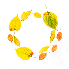 Autumn composition. Frame made of autumn maple leaves isolated on white background. Flat lay, top view, copy space.