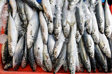 Fresh sardine fish at weekly street market