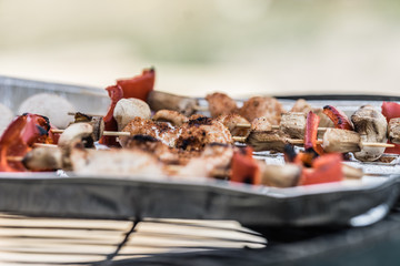 Barbecue in the garden, you can see skewers, chicken and mushrooms and peppers. Metal sheet over heated coals.