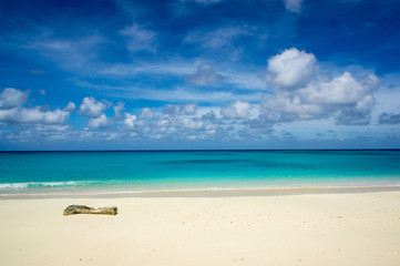 Marshall Islands