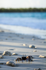 Marshall Islands
